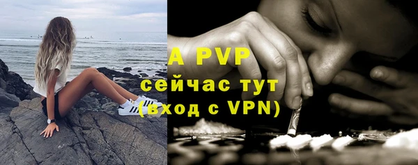Альфа ПВП Богородск