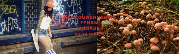 a pvp Богданович