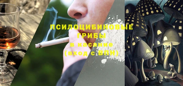 экстази Богородицк