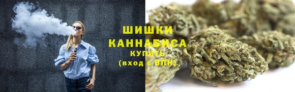 Альфа ПВП Богородск